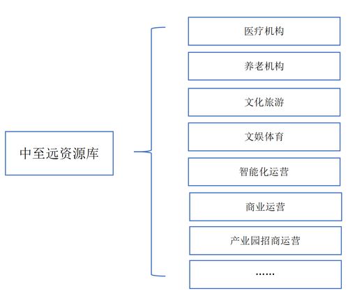 解析政府專(zhuān)項(xiàng)債券在經(jīng)營(yíng)性演出及經(jīng)紀(jì)業(yè)務(wù)領(lǐng)域的應(yīng)用